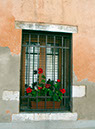 %_tempFileName42)%20Geranium%20Window%