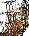 %_tempFileName13)%20Squiggly%20Work%2001%